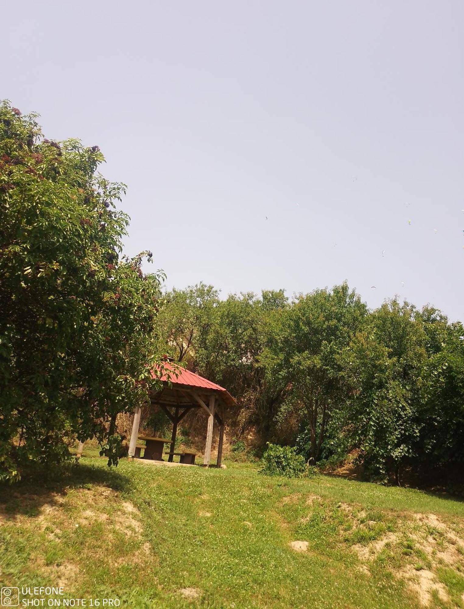 Retro Vendeghaz Villa Nagyharsany Luaran gambar